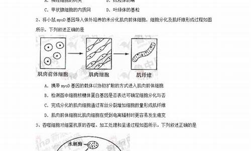 2024高考理综山东卷,山东高考理综真题