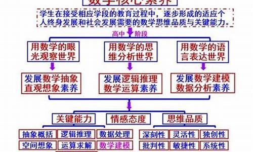 高考数学素养_高考数学素养如何培养