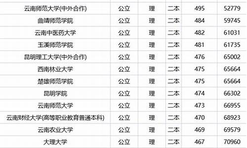 云南二本公办学校及分数线,云南二本公办大学排名及分数线